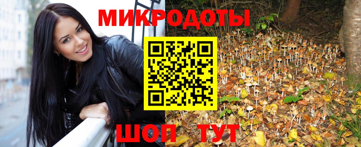 купить закладку  Вход с VPN  Керчь  Псилоцибиновые грибы Psilocybine cubensis 